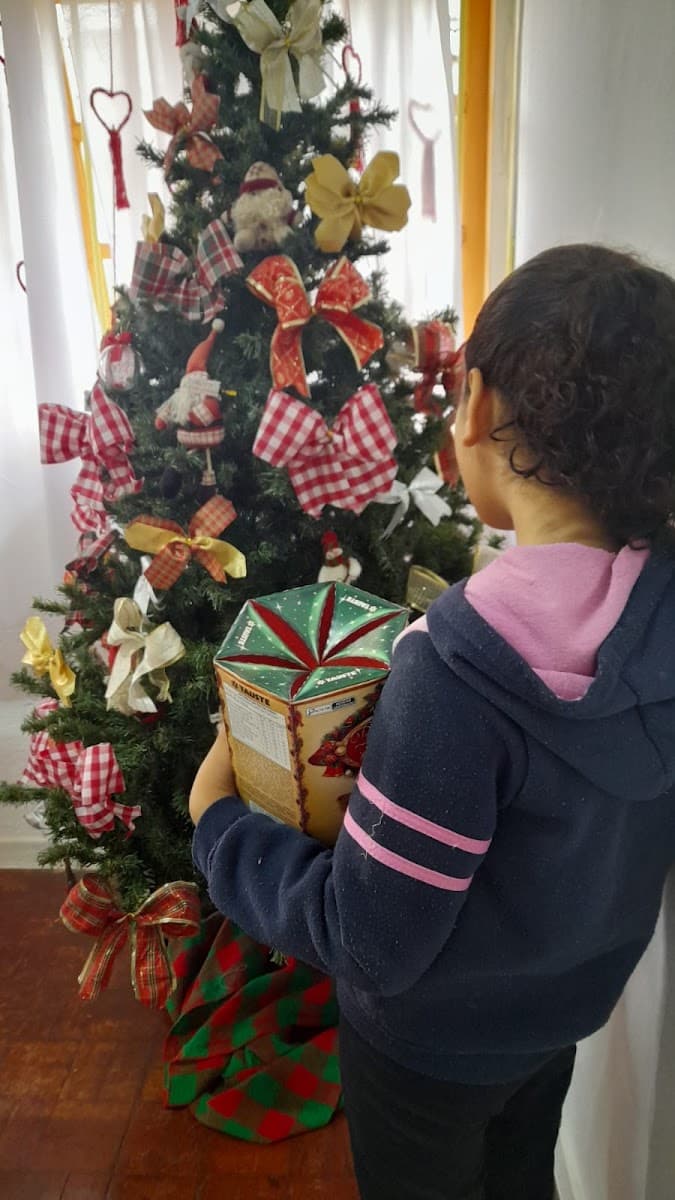 Doações de alimentos reunidas para atendimento às famílias — registro 119