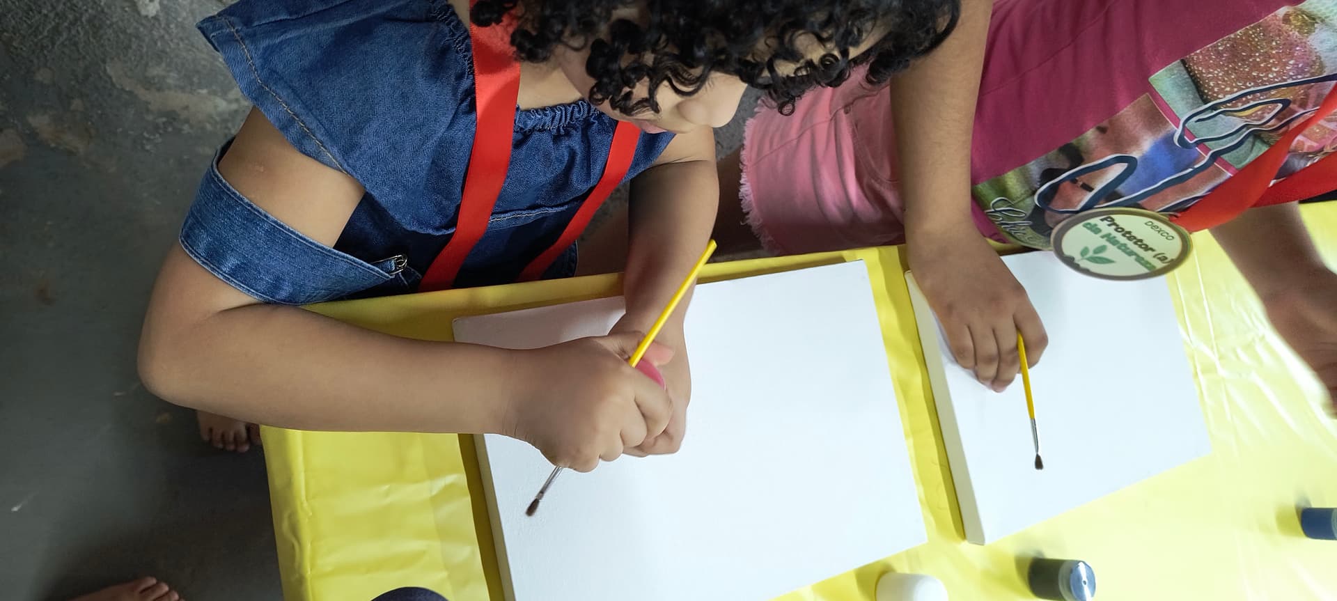 Registro de encontro, passeio ou atividade da ACAI — registro 281