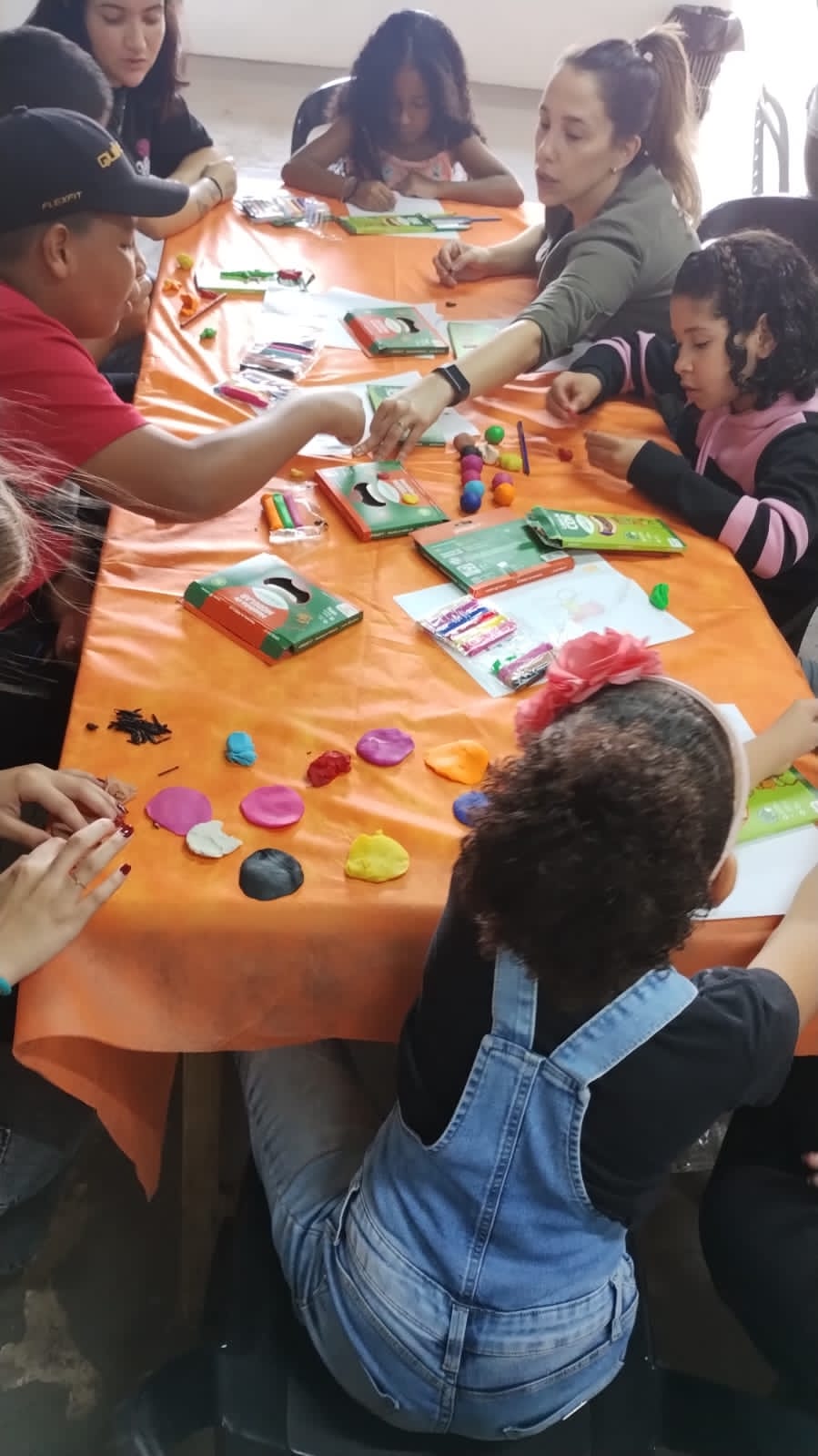Registro de encontro, passeio ou atividade da ACAI — registro 298